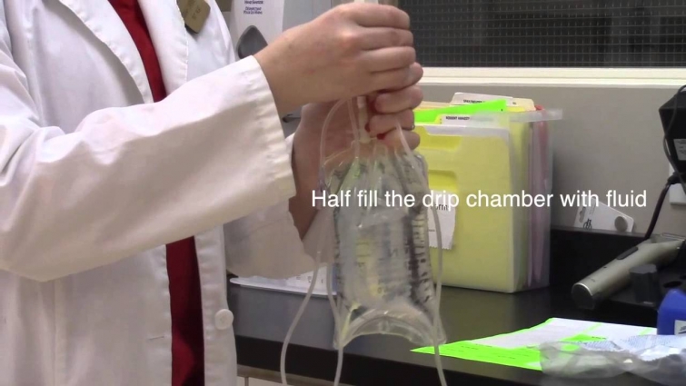 IV Fluids Setup for Canine Patient (Veterinary Technician Education)