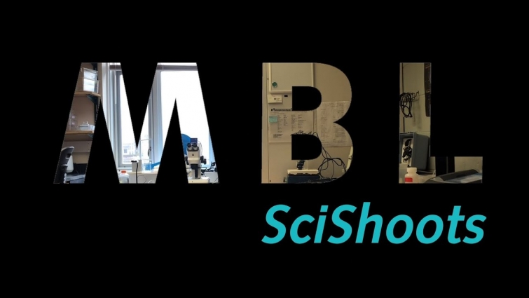 MBLSciShoots: Water Quality