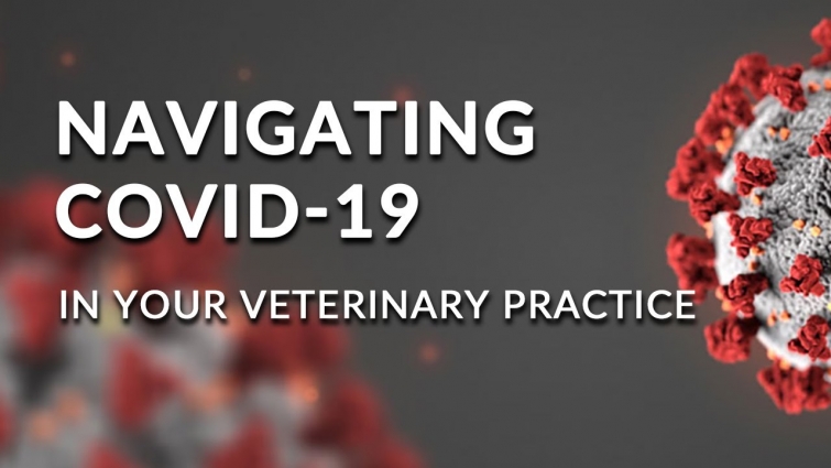 Navigating COVID-19 in the Veterinary Practice – Implementing Technology by Amanda McIninch