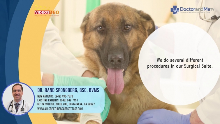 The Surgical Suite at All Creatures Cottage – Dr. Rand Spongberg