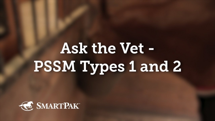 Ask the Vet – PSSM Types 1 and 2