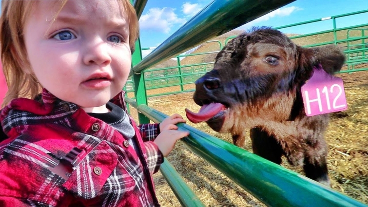 KiDS learn to feed FARM ANIMALS!!  taking care of pets, Niko rides a baby horse, pretend vet Adley!