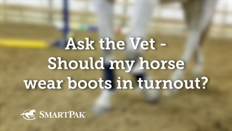 Ask the Vet – Should my horse wear boots in turnout?