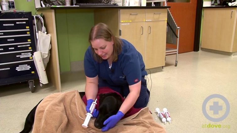 How to Administer Activated Charcoal