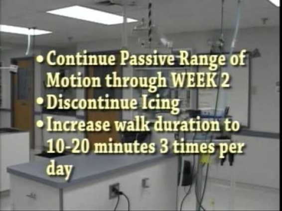 TPLO and TTA Discharge Instructions | Dog Surgery | MedVet