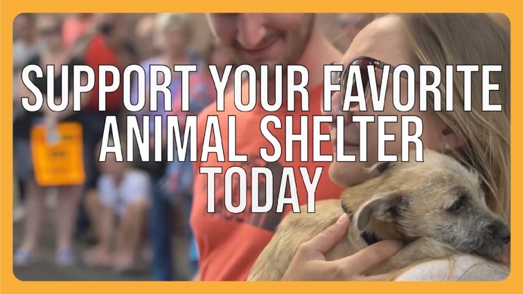 Animals Will Always Make You Smile!