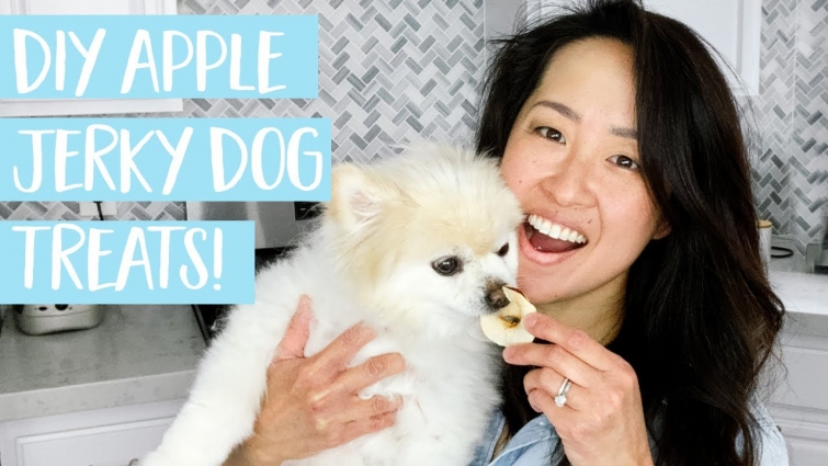 EASY homemade DIY Dog Treat /// DIY Apple Jerky