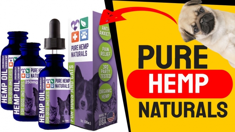 Pure Hemp Naturals Hemp Oil for Dogs and Cats – Stress and Seperation Anxiety Relief