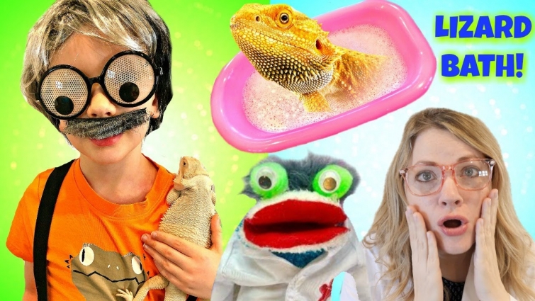 Fizzy the Pet Vet Gives a Bearded Dragon a Bath