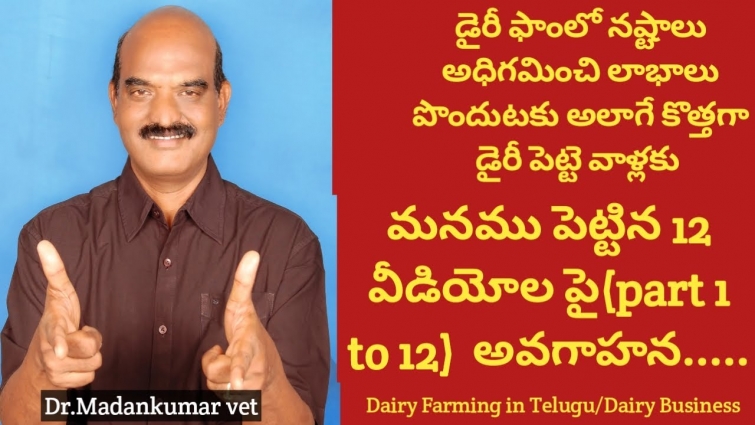 For Successful Dairy Farming|Review on 1-12 parts Videos|Dairy Farming in Telugu| Dr. Madankumar Vet