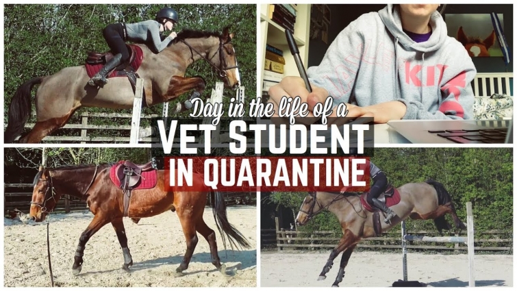 Day in the Life of a VET STUDENT during QUARANTINE