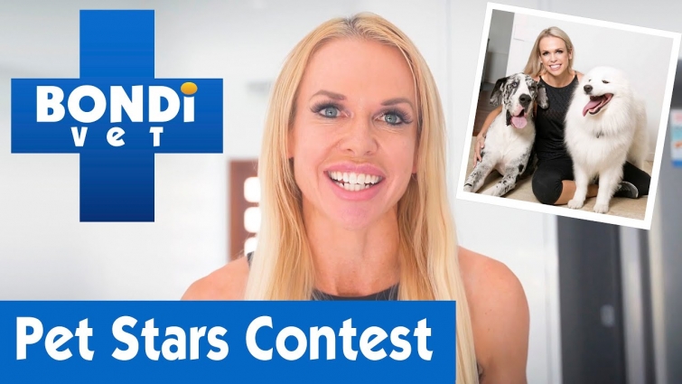 We Want To See Your Talented Pets! | Bondi Vet Pet Stars