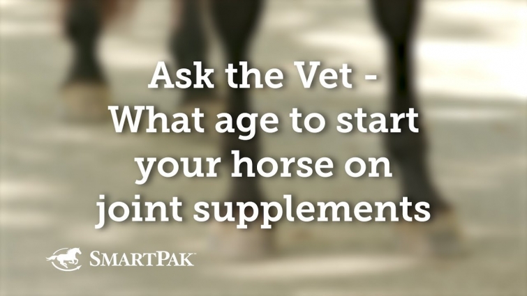 Ask the Vet – What age to start your horse on joint supplements