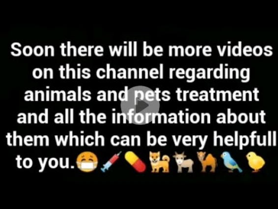 Introduction & Important  of Veterinary Doctor |Teachnical Learning TV