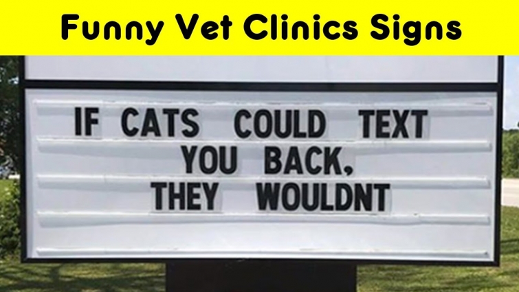 The Funniest Animals Jokes Vet Clinics Put Up On Their Signs