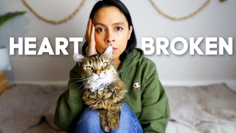 Opening up about my sick cat 💔 Sad story time