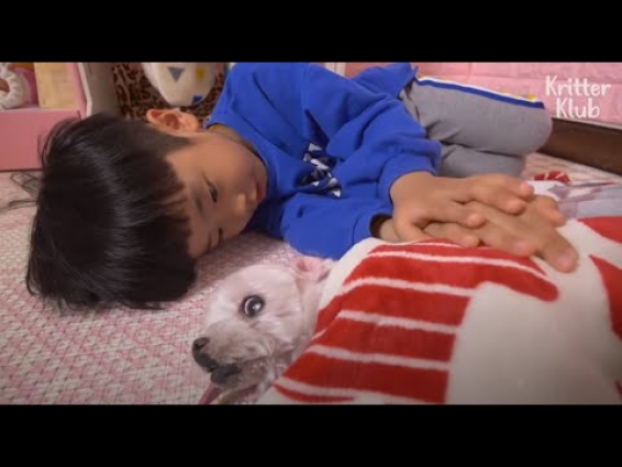 Little Petsitters Love And Care For Elderly Dog Who Has 6 Months To Live (Part 2) | Kritter Klub