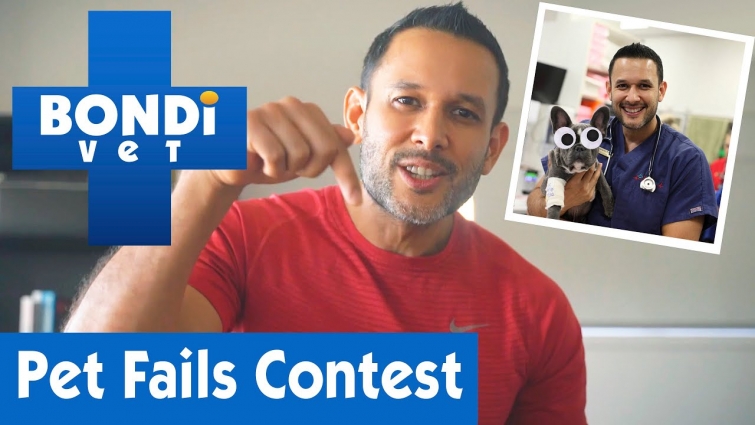 We Want To See Your Epic Pet Fails! | Bondi Vet Pet Stars