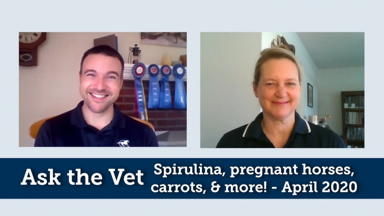 Ask the Vet – Spirulina, pregnant horses, carrots, and more! – April 2020