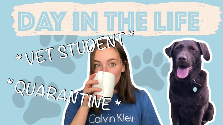 Vlog from a vet student | Study with me | productivity
