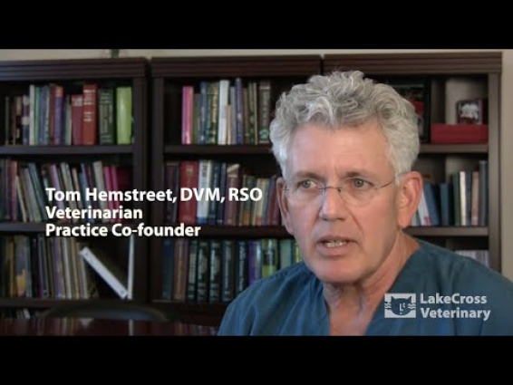 Veterinary practice video