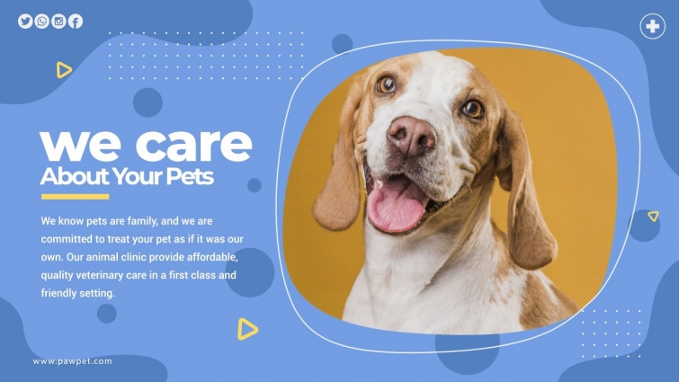 Vet Clinic – Pet Veterinary Hospital Promo Video | Pets Care and Cure Center
