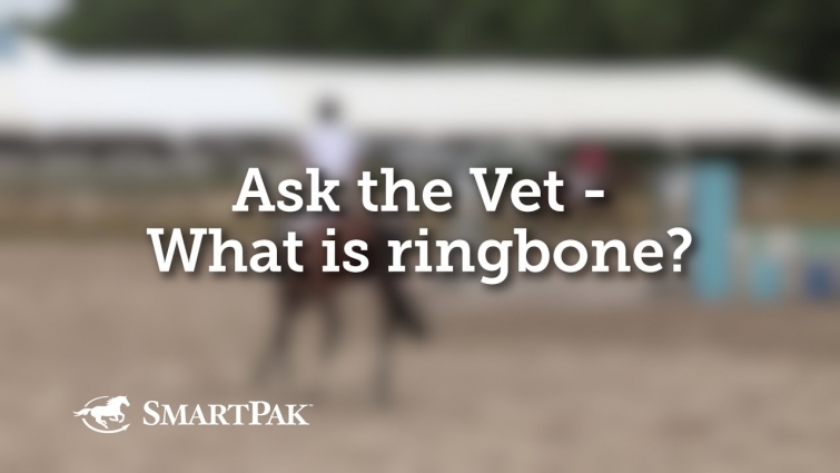 Ask the Vet – What is ringbone?