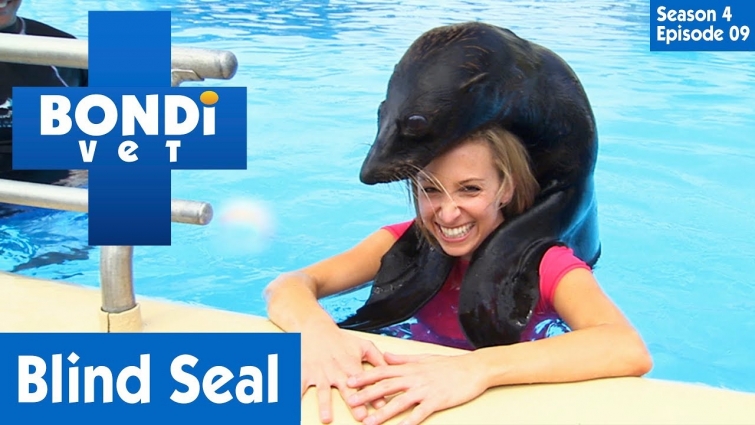Blind Rescued Seal | FULL EPISODE | S04E09 | Bondi Vet