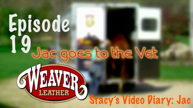 Stacy's Video Diary: Jac- Episode 19- Jac goes to the vet; chiropractor and wolf teeth in horses