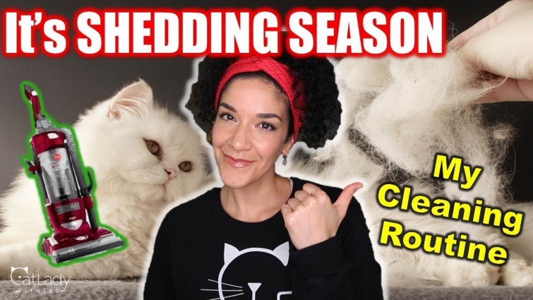 How I clean my floors & carpets with two cats (tips & hacks for cat hair!) 🧹🙀