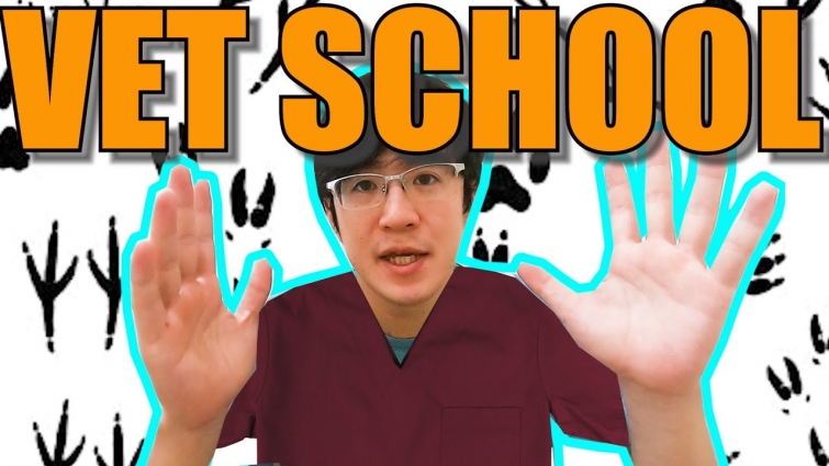 WHY I CHOOSE VETERINARY SCHOOL | PHILIPPINES VLOG