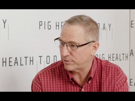 Veterinarian: ‘Take PED seriously and get it cleaned up’