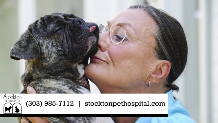 Stockton Pet Hospital | Veterinary Services in Lakewood