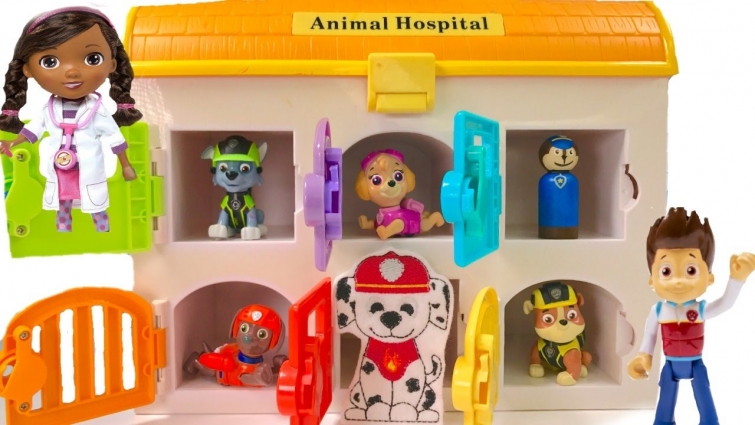 Paw Patrol in Animal Hospital