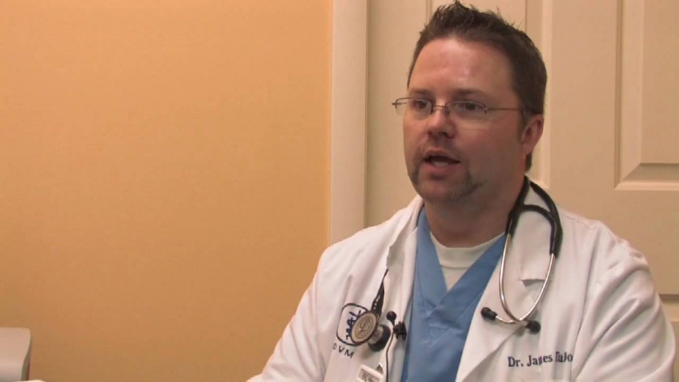 Veterinarian Career Information : Veterinarian's Funniest Moment