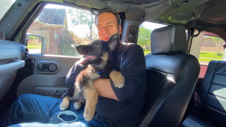 GSD Puppy First Vet Visit | Indian Vlogger | Hindi Vlog | This Indian