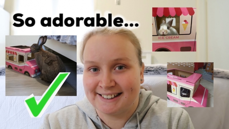 Your RABBITS Will Love This ICE CREAM TRUCK Toy