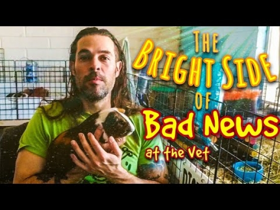The Bright Side of Bad News At The Vet