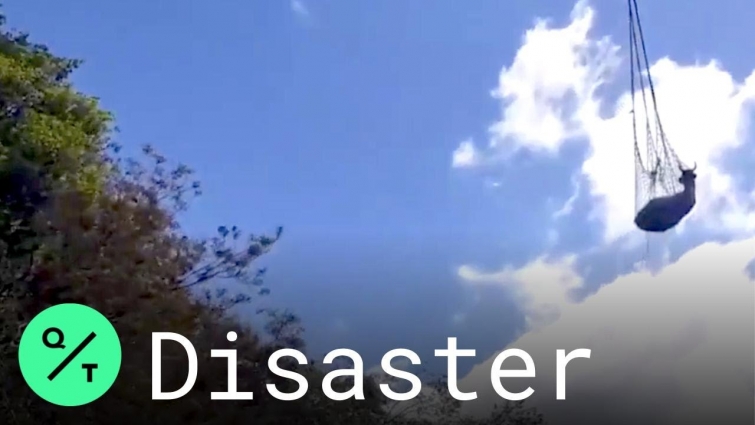 Cow Airlifted to Safety After Falling Down Cliff in Italy