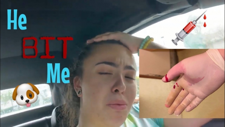 Life as a Vet Tech FAIL