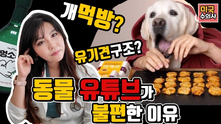 개먹방, 유기견 구조, 동물 유튜브가 불편한 이유-갑수목장 그 이후