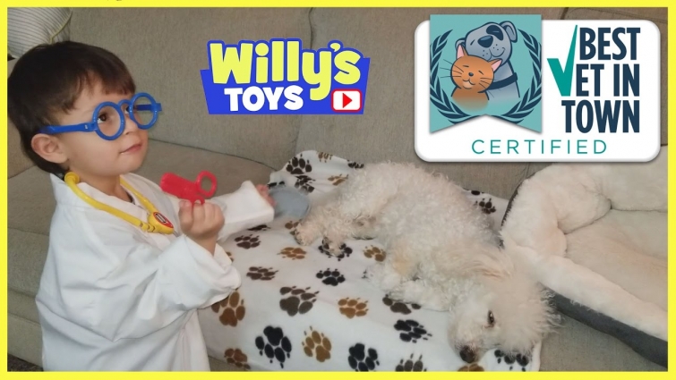 Dr. Willy The 2 Year Old Veterinarian Heals a Puppy for Batman Minecraft Thomas Train Blind Bag Toys