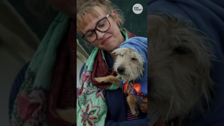 Veterinarian helps homeless pet owners for free