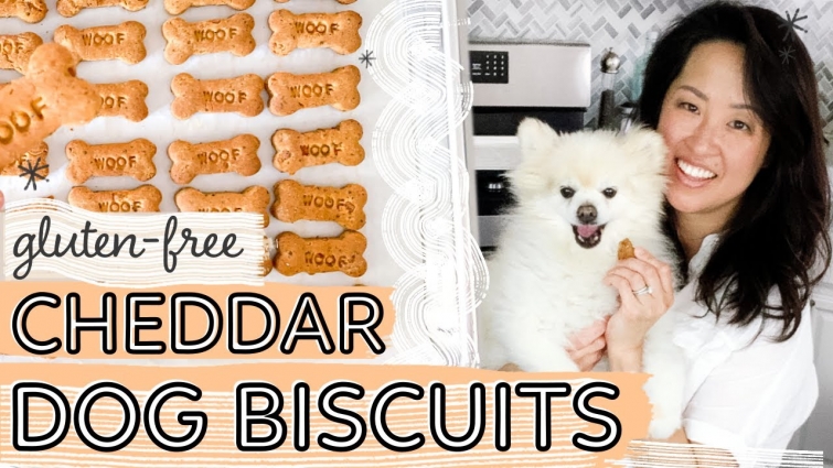 EASY Cheddar Cheese Dog Biscuits // DIY Homemade gluten-free dog treats recipe