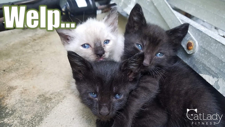 So, this happened… 🙀😳