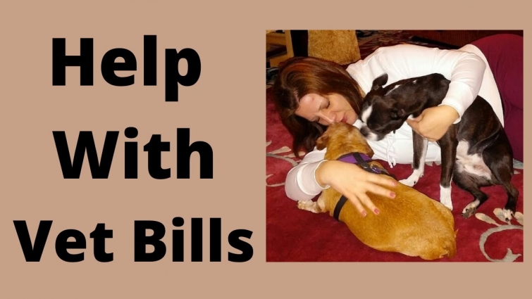 Getting Help Paying for Vet Bills