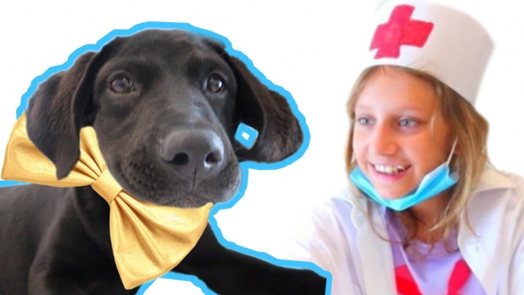 Amazing Vet Story About Puppy Richie and Cute and Funny Kitten Hunter