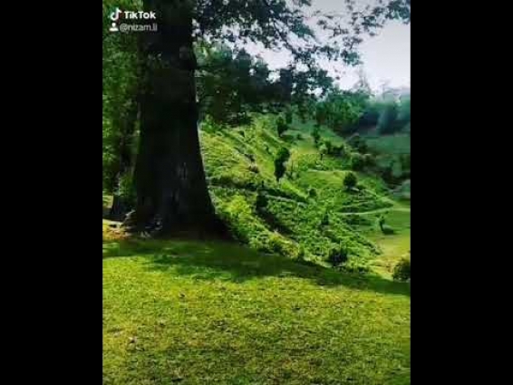 Allah Və Bəndənin Söhbəti.Çox mənalı