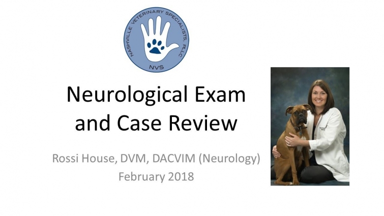 An in-depth review of how to conduct a neurological exam in the veterinary patient