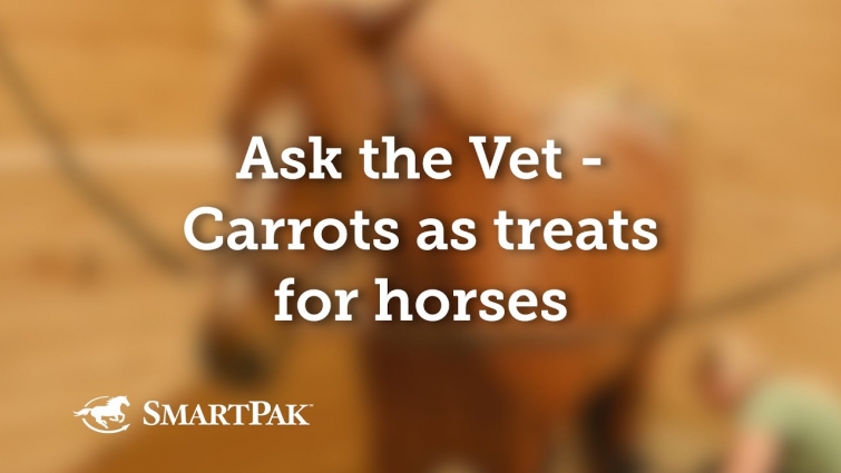 Ask the Vet – Carrots as treats for horses